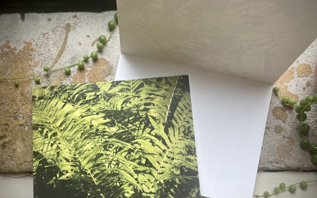 Shea Puent – Location #9