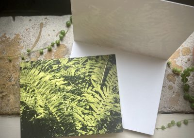 Shea Puent – Location #9